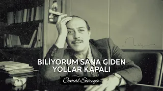 Cemal Süreya - Biliyorum Sana Giden Yollar Kapalı