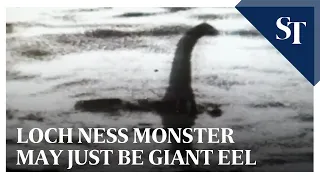 Loch Ness monster may just be giant eel, say scientists