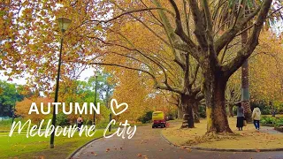 Beautiful Autumn WALK Melbourne Australia⎮Walking Tour Queen Victoria Gardens #Autumn #walkthrough