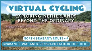 Virtual Cycling | Exploring Netherlands Beyond the Ordinary | North Brabant Route # 9
