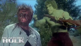 Hulk Vs Hulk | The Incredible Hulk