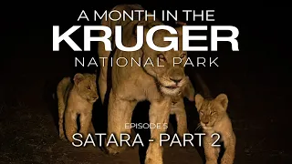 A MONTH in the KRUGER - SATARA - Part 2 (Episode 5)