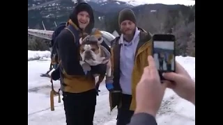 Travis Fimmel's love for dogs