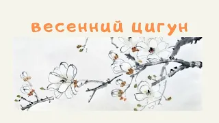 Весенний цигун. Обзор практик