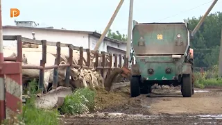 Профессиональный праздник с наградами