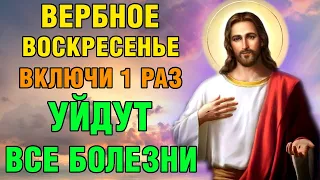 ВЕРБНОЕ ВОСКРЕСЕНЬЕ! ВКЛЮЧИ 1 РАЗ УЙДУТ ВСЕ БОЛЕЗНИ! Акафист входу Господню в Иерусалим. Православие