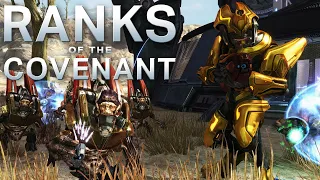 Ranks of the Covenant – Every Known Covenant Rank | Halo Lore