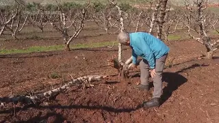 Farmers and fields struggle in northern Israel