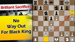 No Way Out for Black King | Oll vs Ulibin 1989