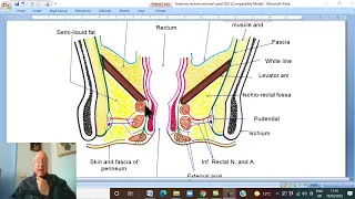 Anatomy GIT Module in Arabic  48 ( Anal canal , part 2 ) ,  by Dr, Wahdan