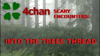 4Chan Scary Encounters - Into the Trees Thread