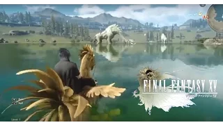 Final Fantasy XV (Chocobo Rental) How To Ride A Chocobo