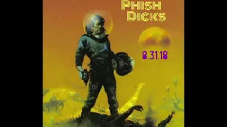 2018 PHISH Dicks Just the Jams