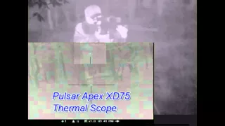 Pulsar Apex XD75 Quantum XD50 Thermal  Monocular