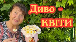 Наталя Фаліон - Диво - квіти