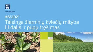 #6/2021 Teisinga žieminių kviečių mityba III dalis ir pupų tręšimas