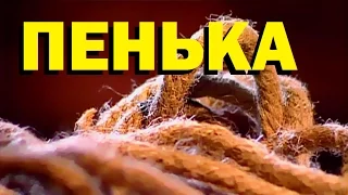 Галилео. Пенька