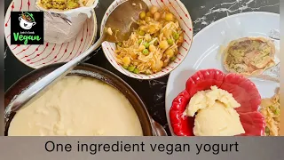 One ingredient Vegan yogurt | loaded with protein | must try #recipe