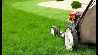 How to Properly Mow a Lawn - Is Mowing Tall or Short Better for the Roots?