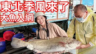 東北季風到！冬天西海岸的明發定置漁場有什麼魚？竟然有大鮸出現