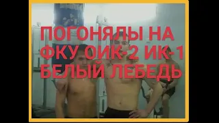 #ПОГОНЯЛЫ НА ФКУ ОИК-2 ИК-1 БЕЛЫЙ  ЛЕБЕДЬ#