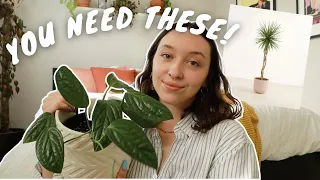 6 aesthetic houseplants for interior decorating! | skip pinterest and watch this 🤪