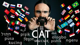 Whispering CAT in more than 50 languages! (ASMR)