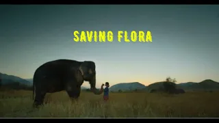 SAVING FLORA 1 HOUR