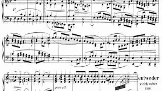 [Patrick Lechner] Liszt: Totentanz for Piano Solo