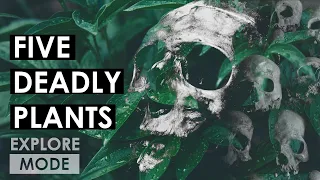 Deadly Plants | 5 Poisonous Plants | EXPLORE MODE