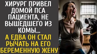 Хирург привел домой пса пациента, не вышедшего из комы… А едва он стал рычать на его беременную жену