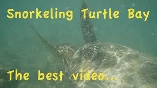 Turtle Bay Resort, Oahu, Hawaii, Snorkeling