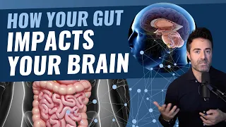 Gut Brain Connection: How the Limbic System Contributes to Gut Dysbiosis