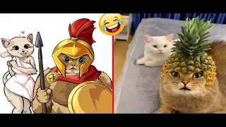 Funniest Cats And Dogs Videos 😁 - Best Funny Animal Videos 2024 part #43