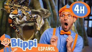 Blippi alimenta y Juega Con Animales en el Zoo | Blippi Español | Videos educativos para niños