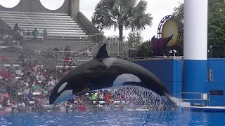 One Ocean (Full Show/Full HD) Aug 15 2015 12pm - SeaWorld Orlando