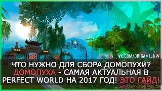 ЧТО НУЖНО ДЛЯ СБОРА ДОМОПУХИ В PERFECT WORLD? ЭТО ТИПО ГАЙД!