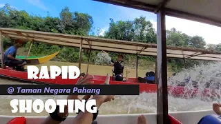 Rapid Shooting @Taman Negara Pahang (3D 2N Package - Day 2/3)