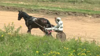 Нижегородский ипподром. Парад. Приз Гибрида, 1 гит. 26.07.2015