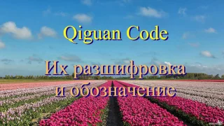 Post CARD KQCPET6 H v.4 & Qiguan Code+Post Code