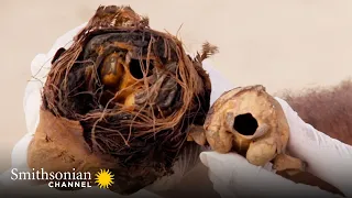 Cat Mummies Were a Big Thing in Ancient Egypt 🐈‍⬛ | Smithsonian Channel