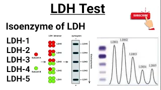 LDH Test || Isoenzymes of LDH || Functions of LDH