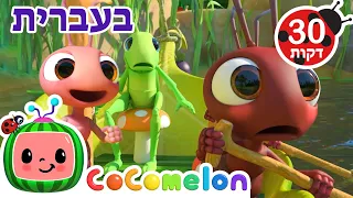 בסירה נחתור (גרסת נמלים) | שירי ערש לתינוקות | CoComelon - קוקומלון בעברית