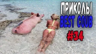 #ПРИКОЛЫ за Май 2018 | BEST COUB 2018 ▶ 34