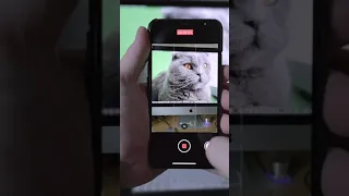 Как снимать видео на айфон с включенной фоновой музыкой #shorts