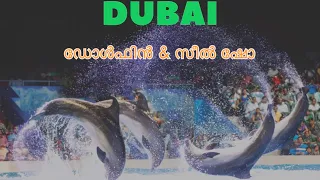 DOLPHIN SHOW DUBAI |SEAL SHOW| |HD| |4K| |SEASON 2024| |ഡോൾഫിൻ & സീൽ ഷോ| #dubai #dolphinshow