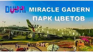 ПАРК ЦВЕТОВ В ДУБАЕ / MIRACLE GARDEN DUBAI / ОТДЫХ В ДУБАЕ / ЦВЕТОЧНЫЙ ОАЗИС В ПУСТЫНЕ