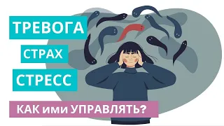 Управление эмоциями (тревога, страх, стресс)