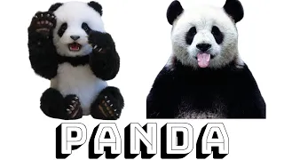 🐼Funniest & Cutest Pandas Compilation🐼 l 2023 Funny Pandas Videos