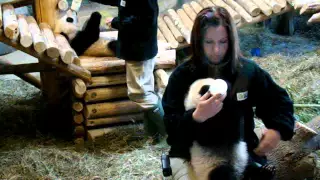 Milkie Time For Jia Yueyue & Jia Panpan!